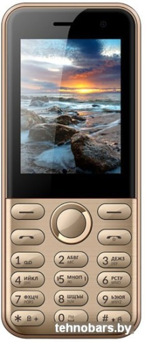 Мобильный телефон Vertex D567 (золотистый) фото 4