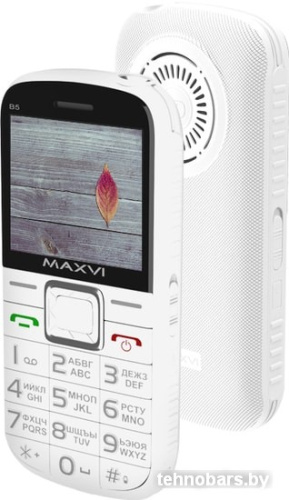 Мобильный телефон Maxvi B5 (белый) фото 3
