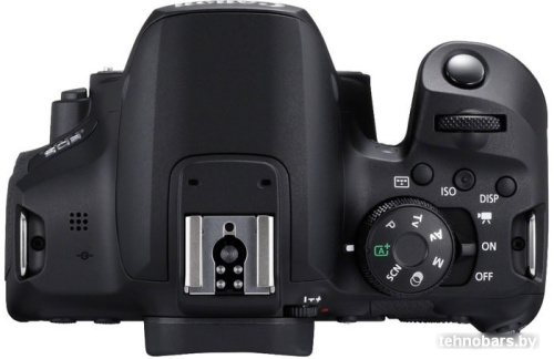Зеркальный фотоаппарат Canon EOS 850D Body фото 5