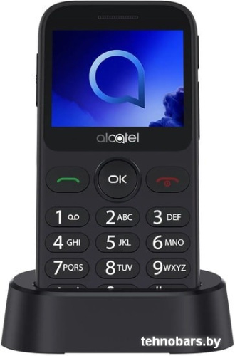 Мобильный телефон Alcatel 2019G (серебристый) фото 5