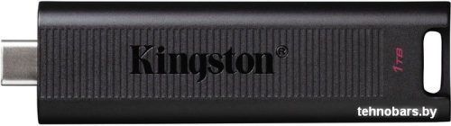 USB Flash Kingston DataTraveler Max 1TB фото 4