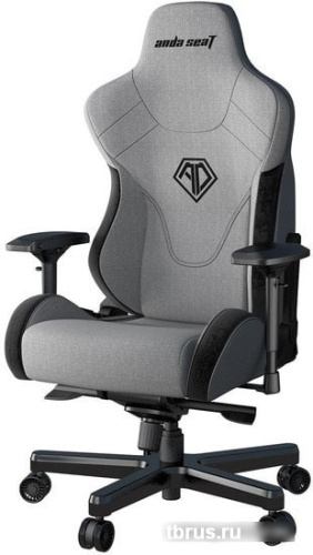 Кресло AndaSeat T-Pro 2 (серый/черный) фото 4