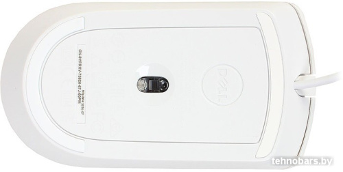 Мышь Dell Optical Mouse MS116 (белый) [570-AAIP] фото 5