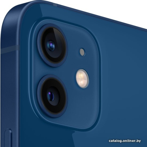Смартфон Apple iPhone 12 Dual SIM 128GB (синий) фото 6