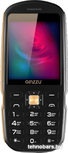 Мобильный телефон Ginzzu R1D (черный) фото 3