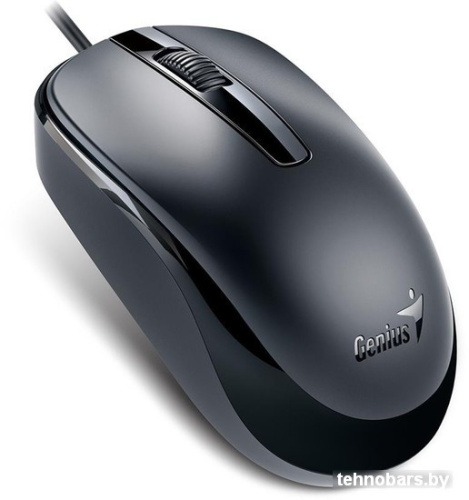Мышь Genius DX-120 (черный) фото 4