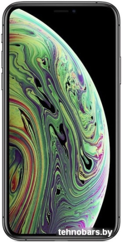 Смартфон Apple iPhone XS 64GB (серый космос) фото 4