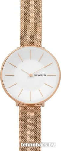 Наручные часы Skagen SKW2688 фото 5