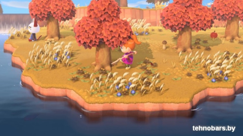 Игра Animal Crossing: New Horizons для Nintendo Switch фото 5