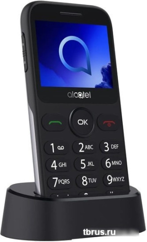 Мобильный телефон Alcatel 2019G (серебристый) фото 6