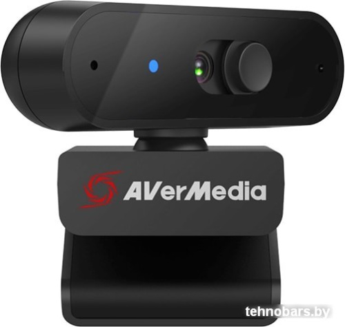 Веб-камера AverMedia PW310P фото 4
