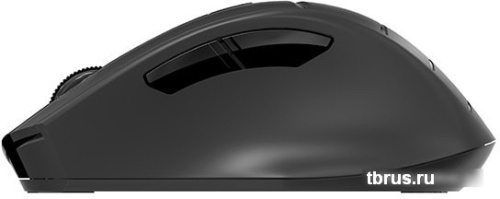 Мышь A4Tech Fstyler FG30S (черный) фото 7