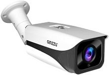 IP-камера Ginzzu HIB-5V02A