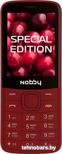 Мобильный телефон Nobby 220 (вишневый) фото 4