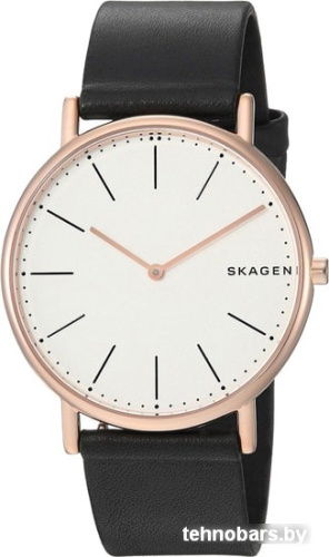 Наручные часы Skagen SKW6430 фото 4
