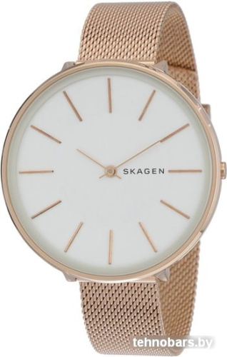 Наручные часы Skagen SKW2688 фото 4