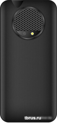 Мобильный телефон TeXet TM-B319 (черный) фото 5