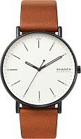 Наручные часы Skagen SKW6550