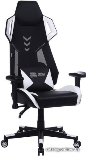 Кресло CACTUS CS-CHR-090BLW (черный/белый) фото 3