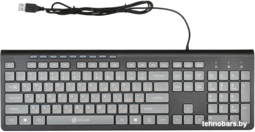 Клавиатура Oklick 480M (черный/серый) фото 4