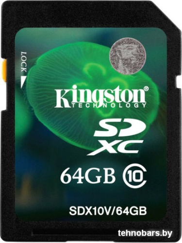 Карта памяти Kingston SDXC (Class 10) 64GB (SDX10V/64GB) фото 3