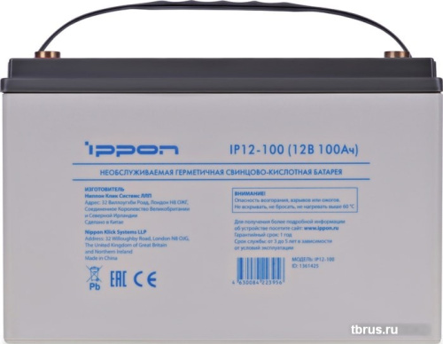 Аккумулятор для ИБП IPPON IP12-100 (12В/100 А·ч) фото 6