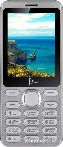 Мобильный телефон F+ S286 (серебристый) фото 4