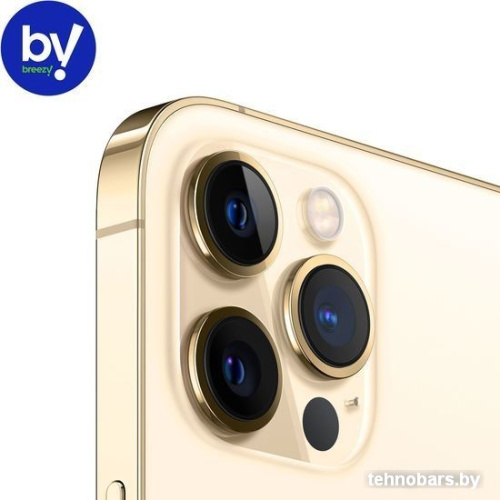 Смартфон Apple iPhone 12 Pro Max 128GB Воcстановленный by Breezy, грейд B (золотистый) фото 5