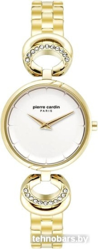 Наручные часы Pierre Cardin PC902752F06 фото 3