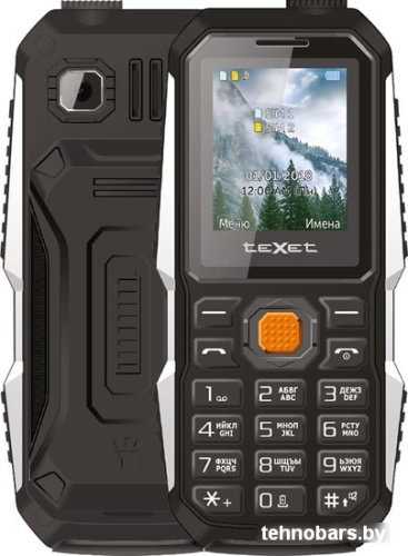 Мобильный телефон TeXet TM-D429 (черный) фото 3