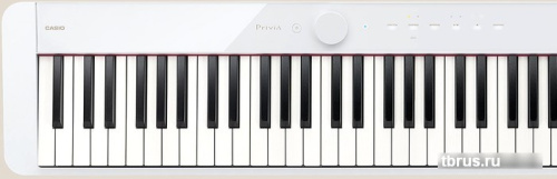Цифровое пианино Casio PX-S1100 (белый) фото 5