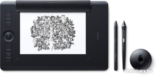 Графический планшет Wacom Intuos Pro Paper Edition PTH-660P (средний размер) фото 4