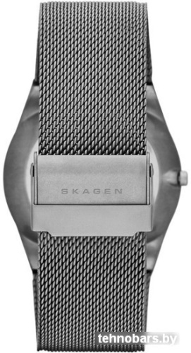 Наручные часы Skagen SKW6078 фото 5