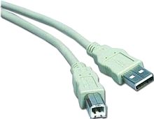 Кабель Cablexpert CC-USB2-AMBM-10