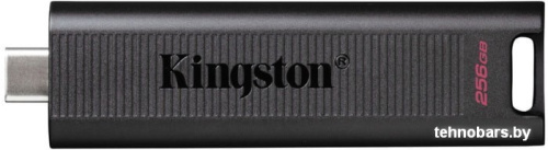 USB Flash Kingston DataTraveler Max 256GB фото 4