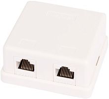 Розетка компьютерная Netlan EC-UWO-2-UD2-WT (1 шт)