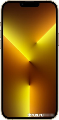 Смартфон Apple iPhone 13 Pro Max 256GB (золотой) фото 4