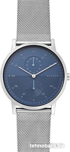 Наручные часы Skagen SKW6500 фото 3