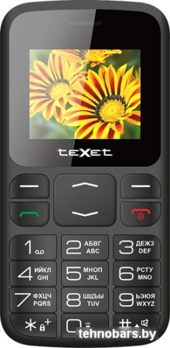 Мобильный телефон TeXet TM-B208 (черный) фото 4