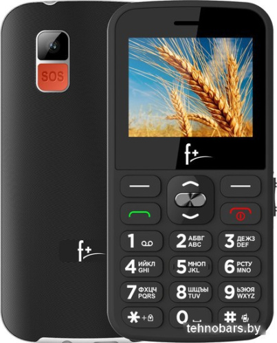 Кнопочный телефон F+ Ezzy 5 (черный) фото 3