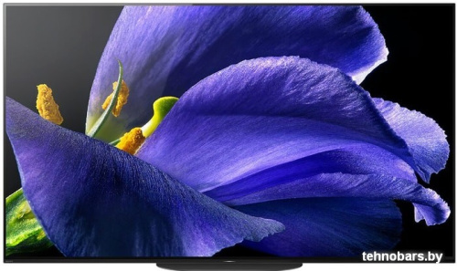 OLED телевизор Sony KD-65AG9 фото 3