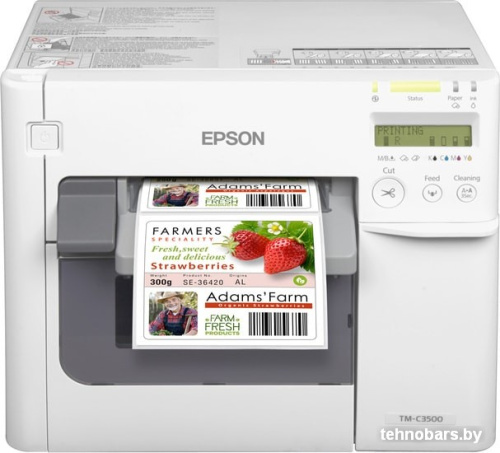 Принтер Epson ColorWorks C3500 фото 3