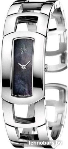 Наручные часы Calvin Klein K3Y2M11F фото 3