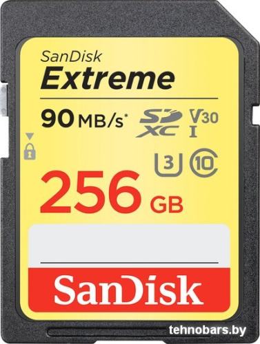 Карта памяти SanDisk Extreme V30 SDHC 256GB [SDSDXVF-256G-GNCIN] фото 3