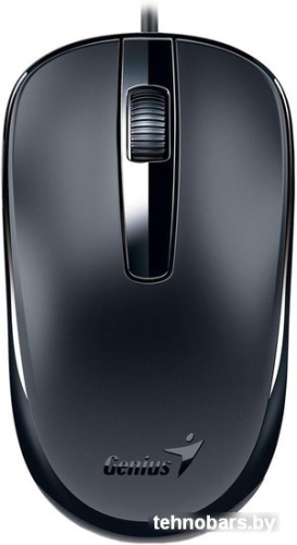 Мышь Genius DX-120 (черный) фото 3