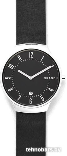 Наручные часы Skagen SKW6459 фото 4
