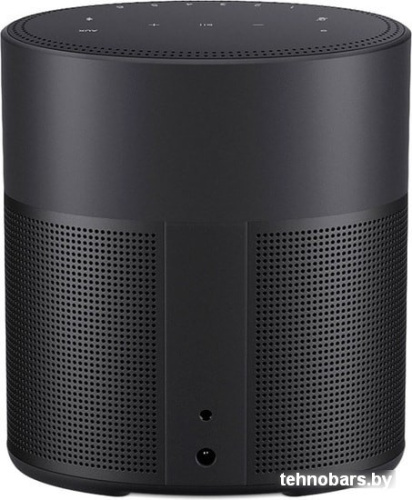 Умная колонка Bose Home Speaker 300 (черный) фото 5