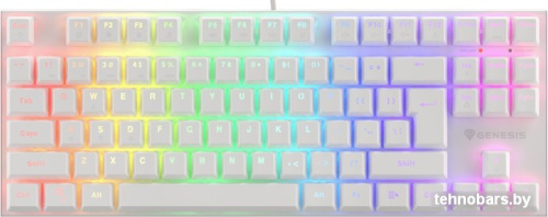 Клавиатура Genesis Thor 303 TKL RGB (белый, нет кириллицы) фото 3