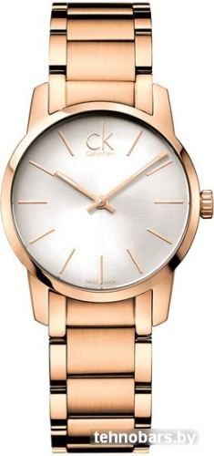 Наручные часы Calvin Klein K2G23646 фото 3