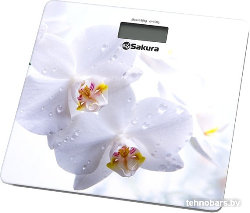 Напольные весы Sakura SA-5065WF фото 3